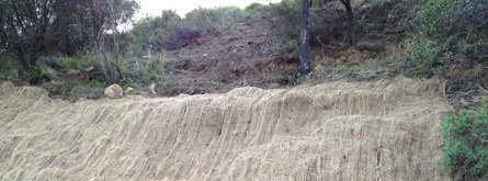 Erosion Control Contractor LA