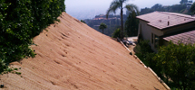 Los Angeles Erosion Control