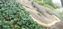 Erosion Control Contractors Los Angeles