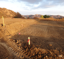 Grading Contractors Hollywood